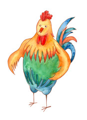 Rooster cock character in cartoon style, isolated on white background, New Year 2017 symbol, farm bird, hand draw watercolor painting, animal illustration