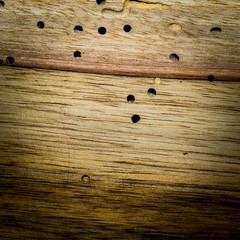 Destroyed wood background with texture