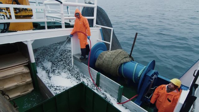 Fisherman Rinses Caugth Fish on Board of Commercial Fishing Ship. Shot on RED Cinema Camera in 4K (UHD). 