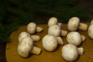 champignon mushrooms on a wooden board