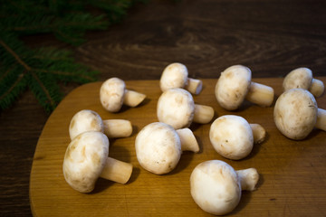 champignon mushrooms on a wooden board