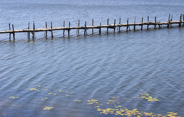 Old wood bridge in water in the summer.