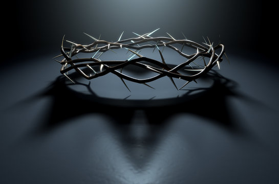 Crown Of Thorns With Royal Shadow