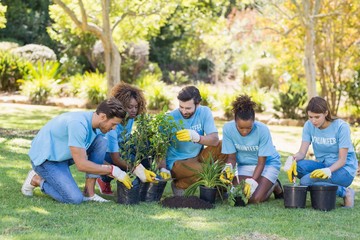 Group of volunteer planting