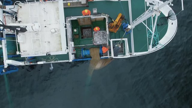Flying over a Commercial Ship Fishing with Trawl Net at the Sea. Shot on RED Cinema Camera in 4K (UHD). 