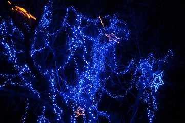 Winter illumination in a park