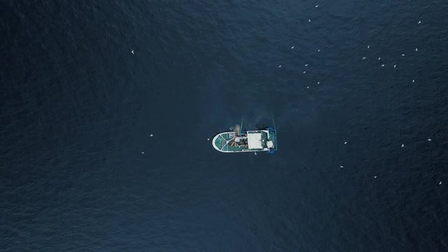 Zoom out of a Commercial Ship Fishing with Trawl Net on the Sea. Top down view. Shot on RED Cinema Camera in 4K (UHD). 