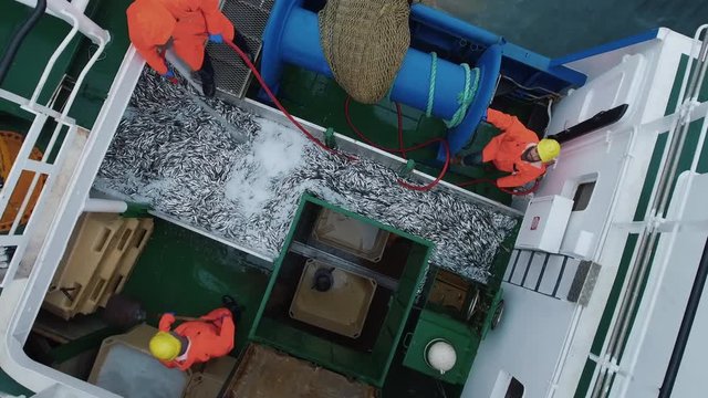Flying Over a Commercial Fishing Ship where People processing the Fish. Top down view.  Shot on RED Cinema Camera in 4K (UHD). 
