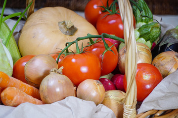 Different kinds of vegetables picked in the harvest basket