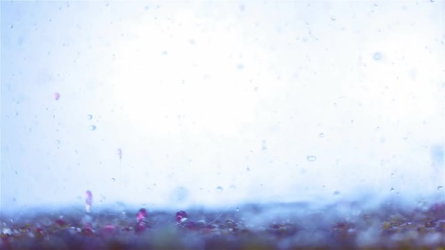 abstract fluid oil in water macro