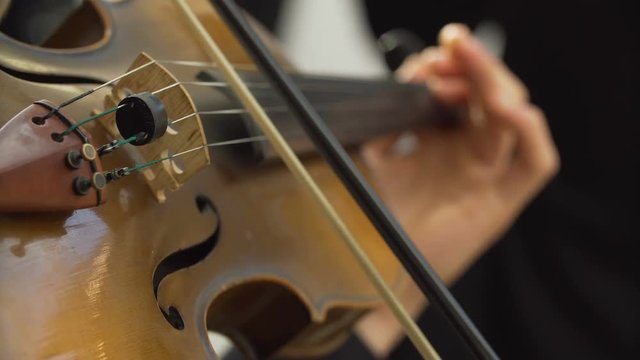 Close-up of musician playing at violin