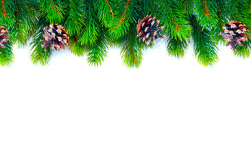Christmas tree with cones border background isolated on white