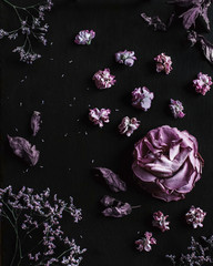 Obraz premium Floral falt lay composition