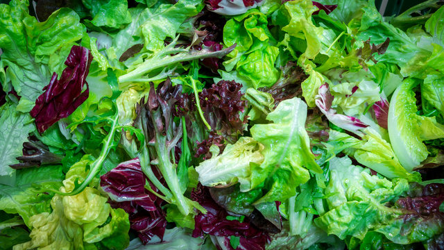 Pflücksalat Bilder: A Fun and Educational Drawing Adventure for Kids!