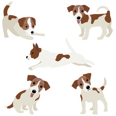 Jack Russell Terrier. Vector Illustration of a dog - 128743932
