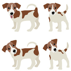 Jack Russell Terrier. Vector Illustration of a dog - 128744105