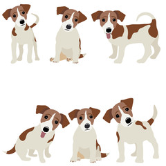 Jack Russell Terrier. Vector Illustration of a dog - 128744183