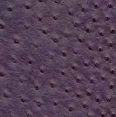 Struktur und Textur von einem Leder Muster.