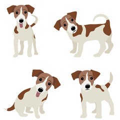 Jack Russell Terrier. Vector Illustration of a dog - 128744344
