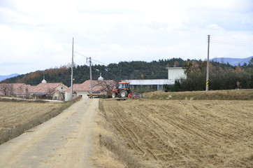 겨울