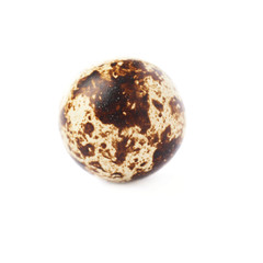 Obraz premium Quail egg isolated over white background