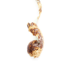 Single quail egg isolated over white background
