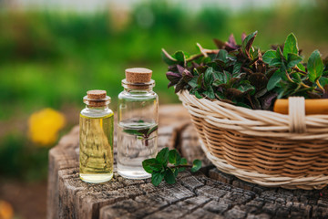 Mint oil and fragrant essence in small bottles with peppermint 