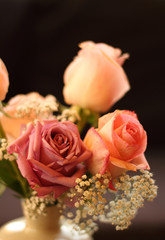 Beautiful pink roses in vintage style on background