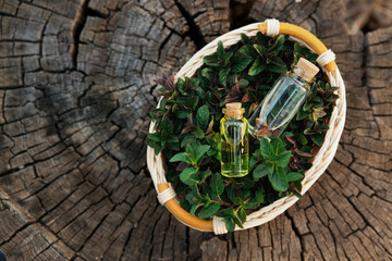 Mint oil and fragrant essence in small bottles with peppermint 