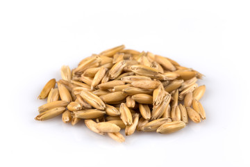 pile of organic oat grains