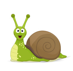 cartoon green snail posing fornt face in brown shell isolated