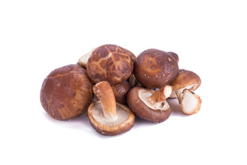 portobello mushrooms isolated on white background.