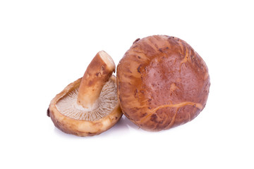portobello mushrooms isolated on white background.