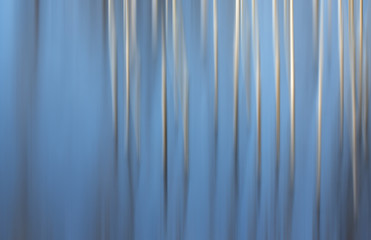 Grass in the water with motion blur effect. Tonal correction added.