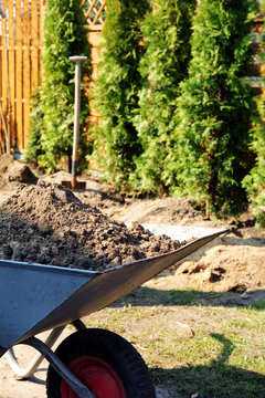 planting trees in garden, barrow with garden soil