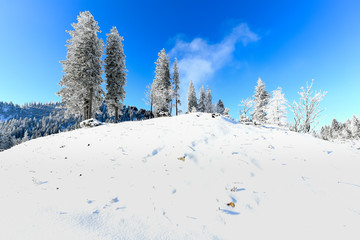 Mostviertel in winter
