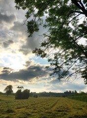 Landschaft mit Baum und Feldern