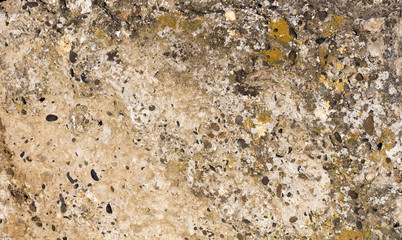 Stone texture