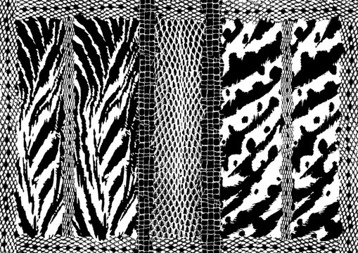 Animals print textures