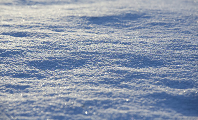 Snow in the ground. Sun is rising in the background.