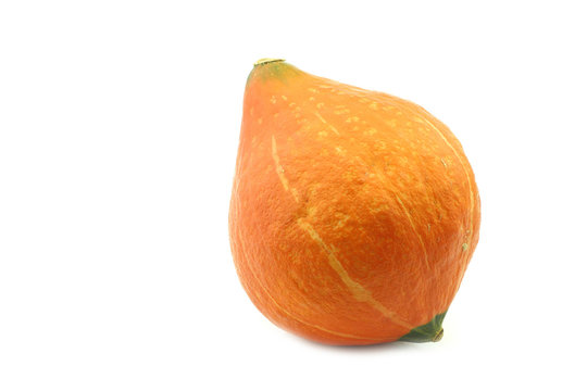 Orange pumpkin on a white background