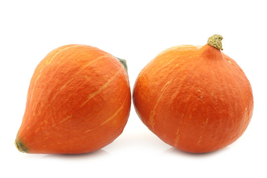 Orange pumpkins on a white background