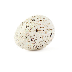 Quail egg isolated over white background