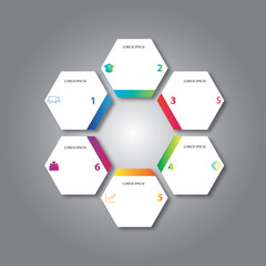 vector modern infographics , diagram , layout , number options and business template with hexagon design