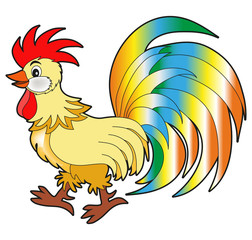 Vector illustration of colored cock cartoon isolated on white, gallo colorato vettoriale cartoon