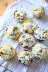 Freshly-made blueberry muffins