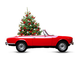 Christbaum im Caprio