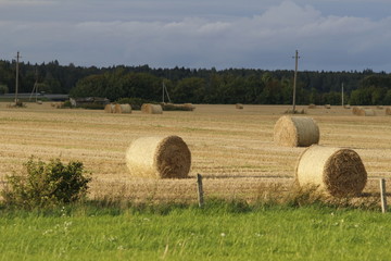 Balle di fieno - Dry straw ball