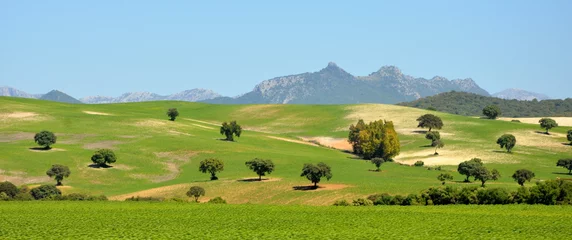Fotobehang Blauwe hemel landscape in Andalusia Spain  © Alexander