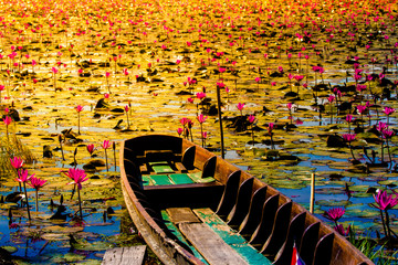 Fototapeta na wymiar Old wooded boat and blossom lotus field or garden